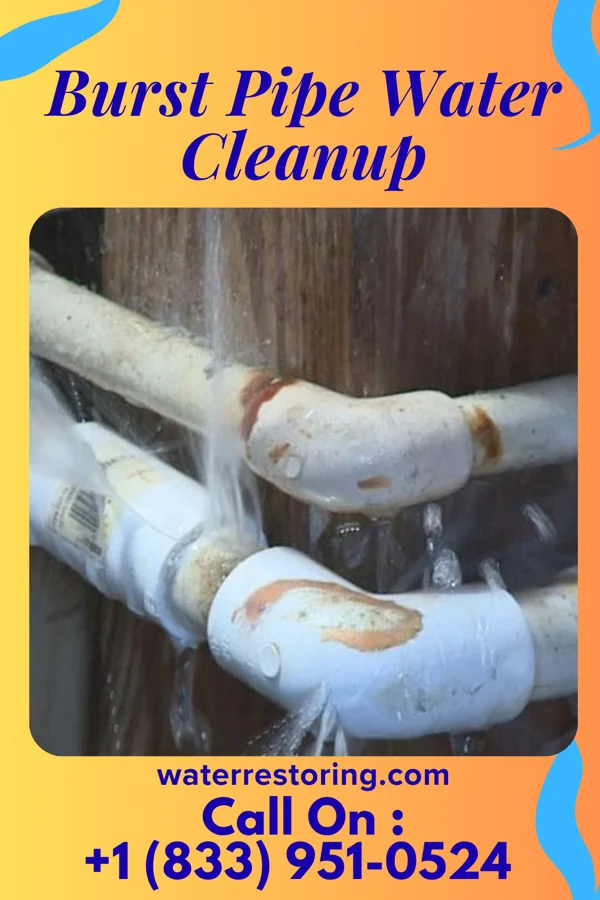 Burst Pipe Water Cleanup in Millbrook, NY