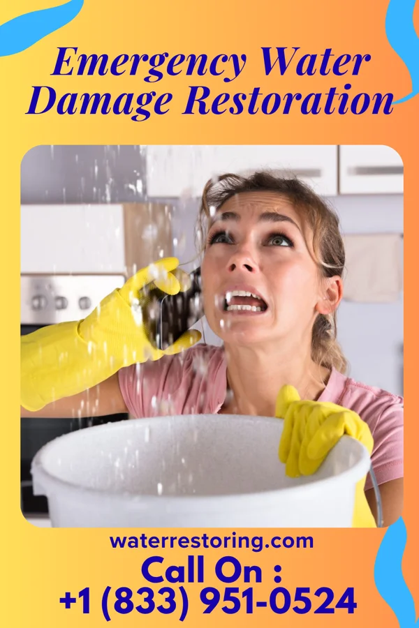 Emergency Water Damage Restoration in Millbrook, NY