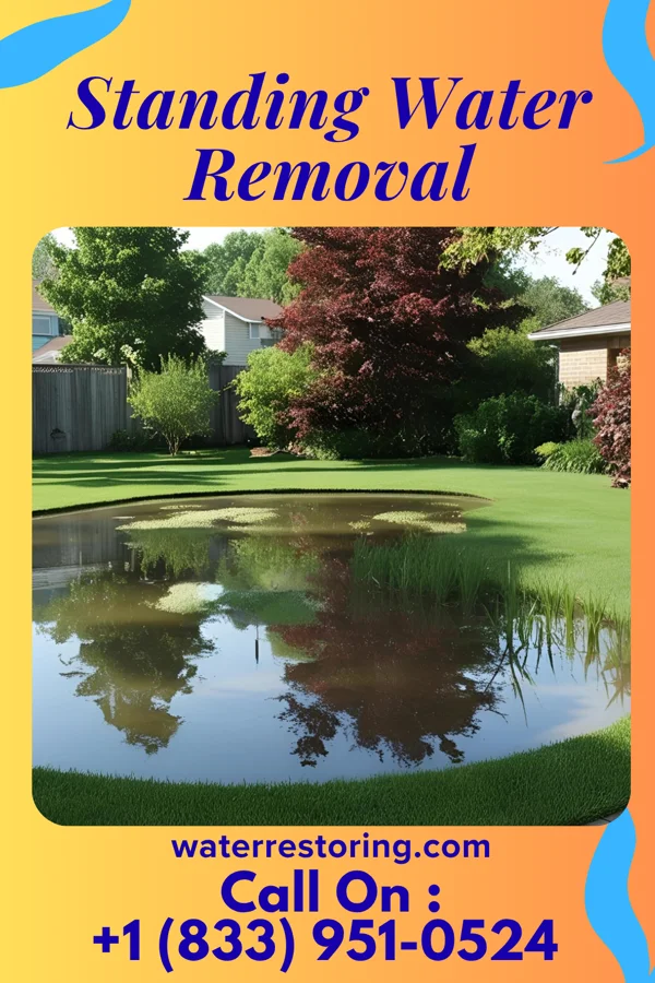 Standing Water Removal in Millbrook, NY